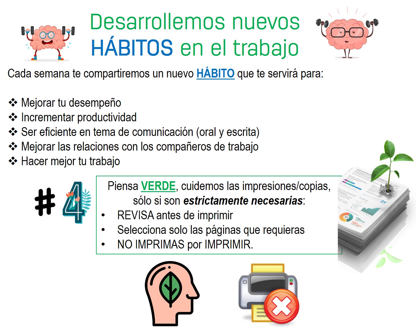 habito 4.1